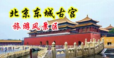 吸奶添胸视频中国北京-东城古宫旅游风景区